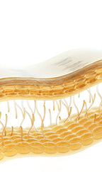 Ampoule Peptidique