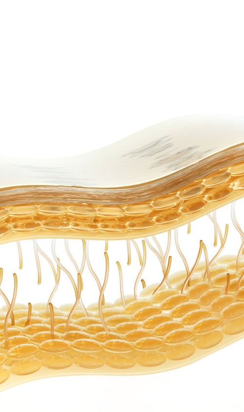 Ampoule Peptidique